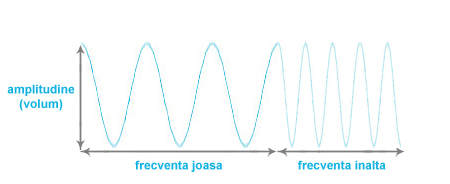 Frecventa